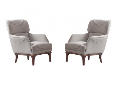 Hellgrau taufrëschen modernen Stil Still fir Wunnzëmmer nei 2 Deeler.