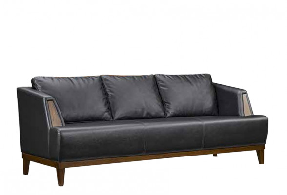 Schwaarzen Designer Lieder Dräisëtzer Modern Wunnzëmmer Polster Canapé
