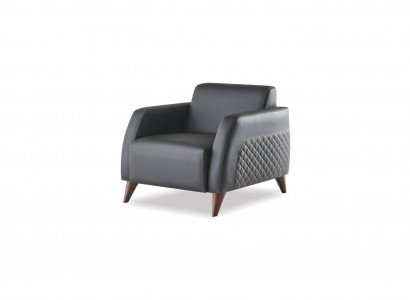 Sëtz Schwaarz Fauteuil Lieder Modern Holz Weich Armleef Sëtzplaz fir 1