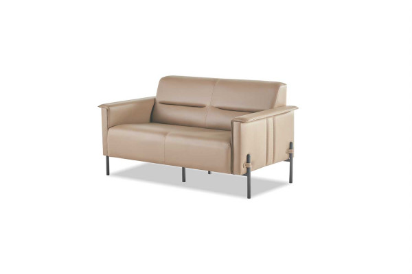 Beige Canapé 2-Plaz Sofa Modern Ledersofa Sitzmöbel Zweesëtzeg Lieder