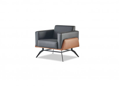 Lehnsessel, Sessel, 1-Sëtzer, Sëtzmiwwel, Modern, Lieder, Edelstahl, Holz, Zweesëtzeg.