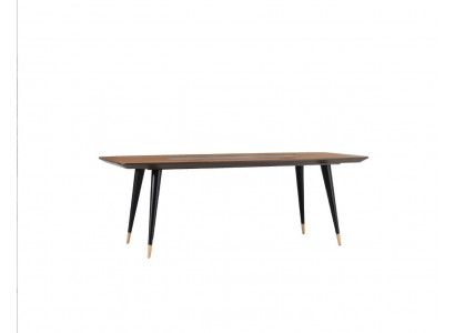 Iessdësch Modern Iesszëmmer Wunnzëmmer Kiche Design Dësch Edelstol