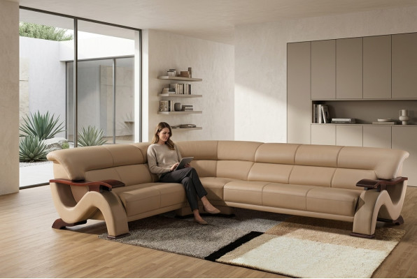 Liederkanapee Kanapee Wunnzëmmer Couch Kanapeeën Couchen Eckssofa Garnitur Kanapeeën
