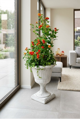Blummenkibbel Planz Kuib Dekoratioun Figur Blummendëppen Gaart Vase