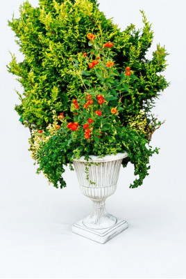 Blummenkibbel Planz Kuib Dekoratioun Figur Blummendëppen Gaart Vase