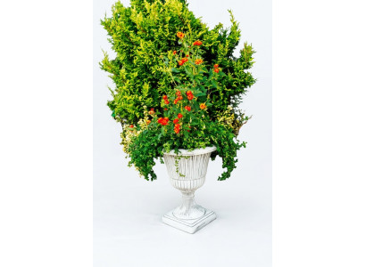 Blummenkibbel Planz Kuib Dekoratioun Figur Blummendëppen Gaart Vase