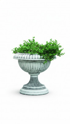 Blummebeem Planza Beem Dekoratioun Figur Blummepotten Gaart Natur Vasen