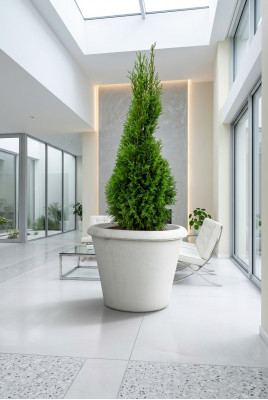 Blummekübelen Planzkësch Dekoratioun Figur Vase Gaart Blummendëpper Natur