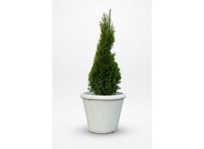 Blummekübelen Planzkësch Dekoratioun Figur Vase Gaart Blummendëpper Natur