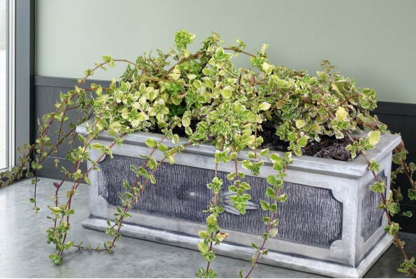 Blummendëppen Planzen Dëppen Dekoratioun Natur Figur Vasen Gaart Blummendëppen