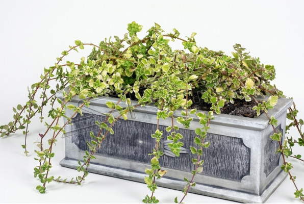 Blummendëppen Planzen Dëppen Dekoratioun Natur Figur Vasen Gaart Blummendëppen