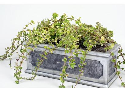 Blummendëppen Planzen Dëppen Dekoratioun Natur Figur Vasen Gaart Blummendëppen