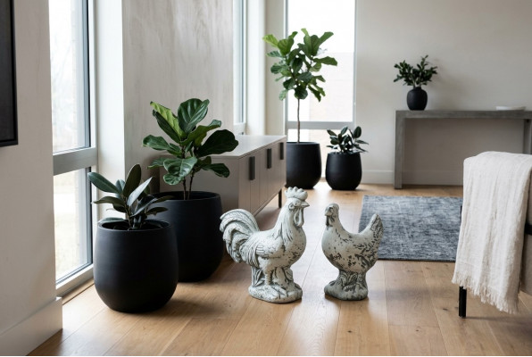 Gaarden Dekoratioun Poulet Terrasse Steen Figuren Figur Wäiss Dekorativ Statuett