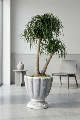 Blummendëppen Këscht Dëppen Blummen Dekorativ Dëppen XXL Beton Gaart Terrass