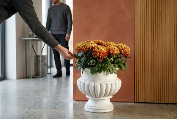 Blummendëppen Dekorativen Këscht Dëppen Blummen Dëppen XXL Beton Gaart Terrass.