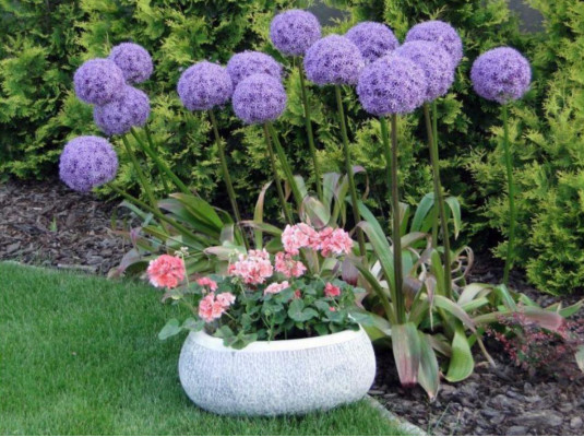 Blummekübel Natur Planz Kübel Dekoratioun Gaart Vase Figur Blummendëppen