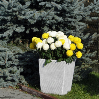 Blummendëppen Planzendëppen Dekoratioun Vase Gaart Figur Natur Blummendëppercher