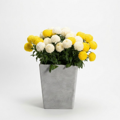 Blummendëppen Planzendëppen Dekoratioun Vase Gaart Figur Natur Blummendëppercher