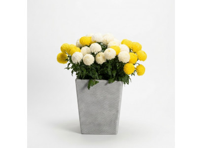 Blummendëppen Planzendëppen Dekoratioun Vase Gaart Figur Natur Blummendëppercher