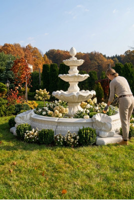 Fontän Basin Zierbrunnen Sprangbur Brunnen Stad Weier Skulptur Gaart