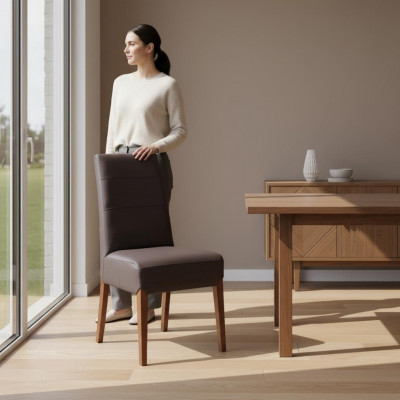 Set vu 4x Lieder Massivholz Stull Iesszëmmerstull Designer Still Iesszëmmerstillen