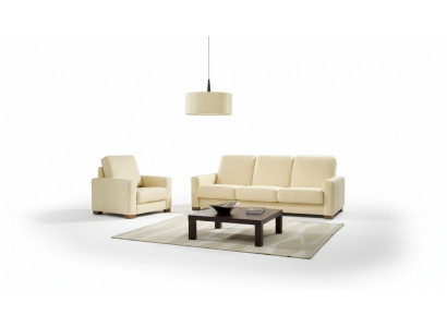 Zwee-Sëtz Couch Klassesch Ledersofa Couch Polster Sofa 2 Sëtz Lieder