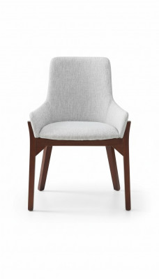 Design Lehnstühle Polster Iesszëmmer Sessel Club Kichen Lounge Wunn-Miwwel Still
