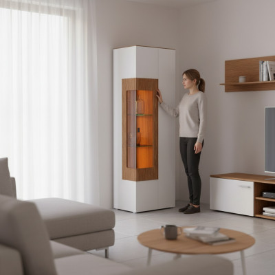 Vitrinnenglas Schaf Sall Schafschief 1 Dier. Vitrinn Héchschaf Modern.