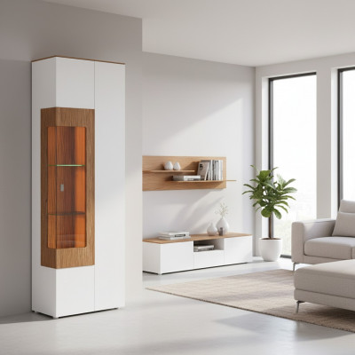 Vitrinnenglas Schaf Sall Schafschief 1 Dier. Vitrinn Héchschaf Modern.