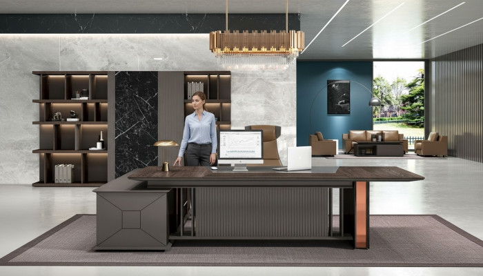 Schreifdësch Dësch Büro Ariichtung Aarbechtsdësch Kanzlei Akte Schaf 2-Stéck.