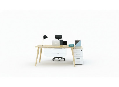 Home Office Regaler Schiefer Holz Ariichtung Bürosmichlen Akteschiefer.