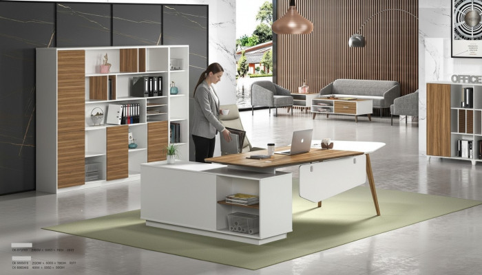 Akteschief Bibliothéik Regaler Schaf Dekor Luxus Büro Miwwelen Schiefen