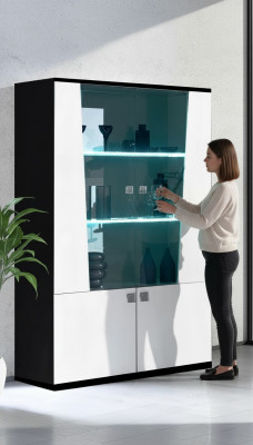 Modern Holz Vitrine Vitrinnen Vitrinneschaf Schaf Glasschaf Schiir Italien