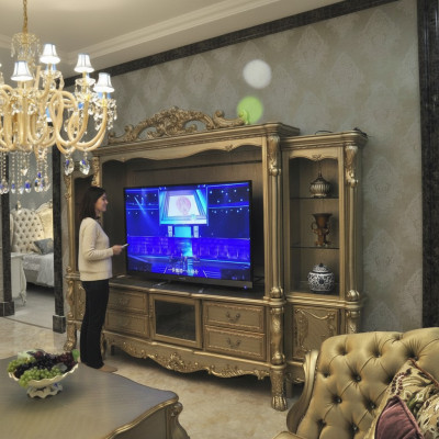 Wunnzëmmer Usaz Medienmauer Televisiounsmauer Televisiounsschaf Wunnmauer