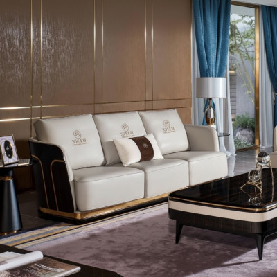 Drësëtzeger Canapé Polstersofa Couchen Designer Ledercouchen Wäiss
