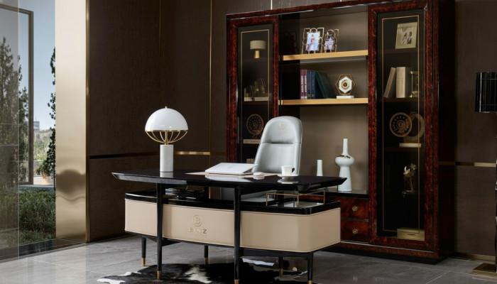 Design Schaf Bicherregal Vitrinn Dokumenterregal Büro Ariichtung Regal