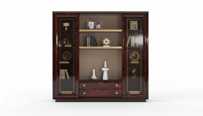 Design Schaf Bicherregal Vitrinn Dokumenterregal Büro Ariichtung Regal