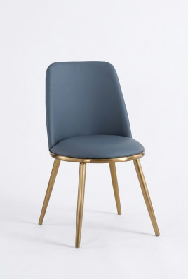 Iessdësch Still Luxus Stoff Edelstol Design Still Lehnstull Gepolstert Nei