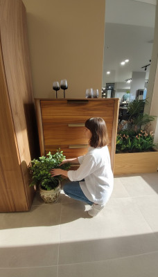 Luxus Schlofzëmmer Kommode mat 4 Tiräng Holzschaf Design Miwwel Holz Nei