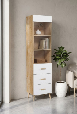 Bicherregal Vitrinn Vitrinneschaf Glasschaf Regal Holz Schaf Bicherschaf