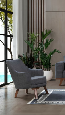 Design Wunnzëmmer Fauteuil Einsëtzer Modern Grouw Polster Miwwelen