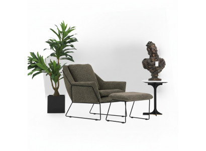 Moderner grénge Sëtz Cocktailsessel Ouresessel Wunnzëmmermiwwelen Design