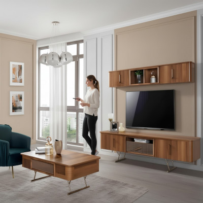TV Miwwel Fernseeisch Design Fernsee Schaf Wunnwand Dësch RTV Schaf Niddregschaf