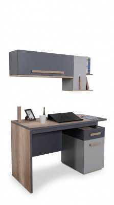 Schreifdësch Modern Dësch Wandregal Holz Jugend Kannerzëmmer Miwwelen Design
