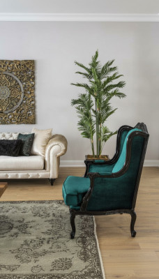 Klassesch Fauteuils Luxus Polster Textil Einsëtzer Gréng Modern