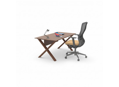 Luxus Büro Schreifdësch Aarbechtspult Modern Miwwelen Stilvoll Ariichtung