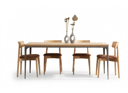 Iessdësch Brong Dësch Luxus Iesszëmmer Stil Klassesch Modern Miwwelen Nei