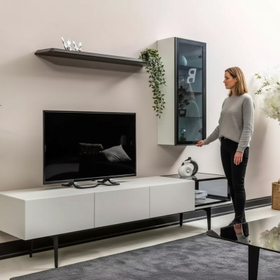 En eenzegaartegen TV-Schaf an Regaler am minimalistischen Stil