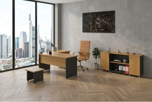 Büroariichtung Aarbechtszëmmer Set Bëschmöbel Direkterschaf Schrëftdësch Schaf