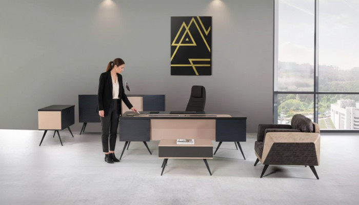 Modern Aarbechtszëmmer Set Luxus Büro-Miwwel Akteschaf Schreifdësch